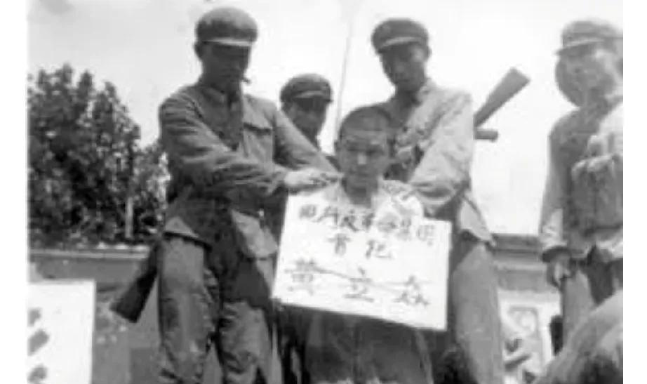 1961年，在安徽省无为县，一起被定性为反党反政府的暴动未遂案件——“劳动党”事