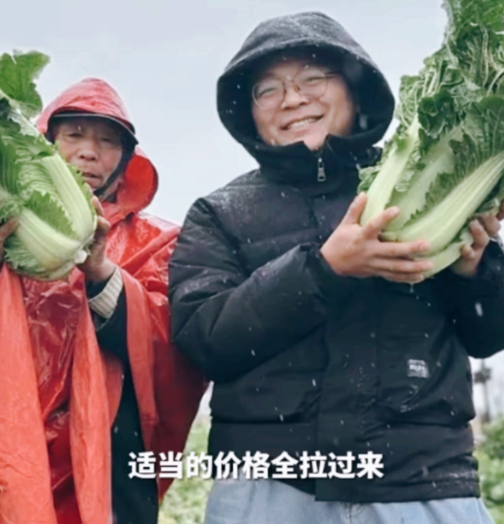 活该他能当老板！山东一员工请假回家收白菜，没想到菜贩子收购价只有1毛2一斤！老板