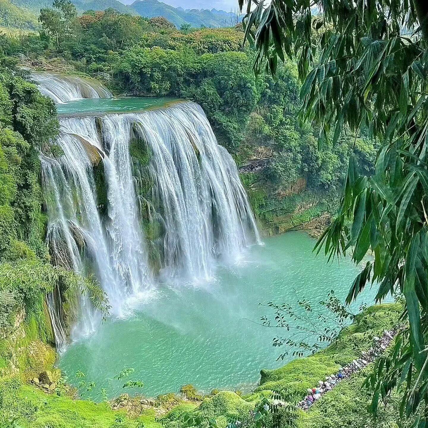 治愈风景背景图⋅˚.大自然浪漫至极🦋🌺🌼