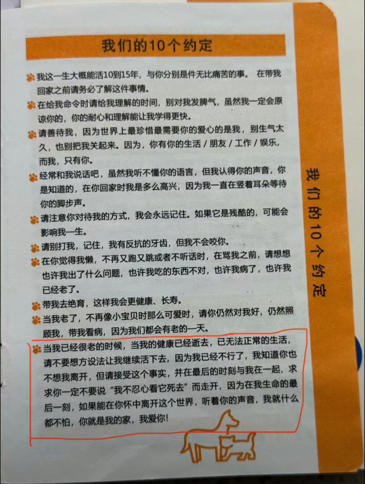这个世界不能没有小狗​​​
