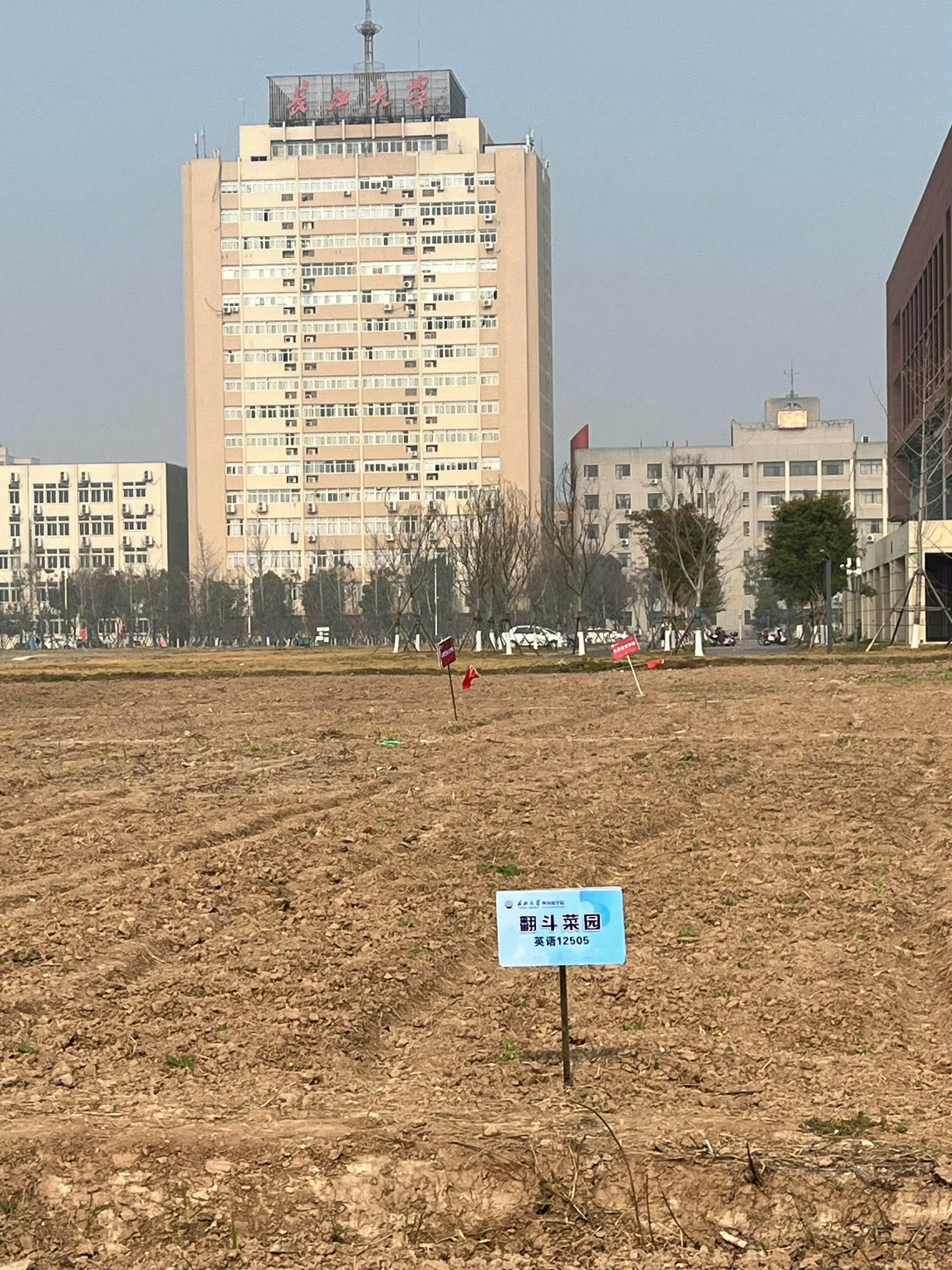 突然感觉这片菜地都变得高级了