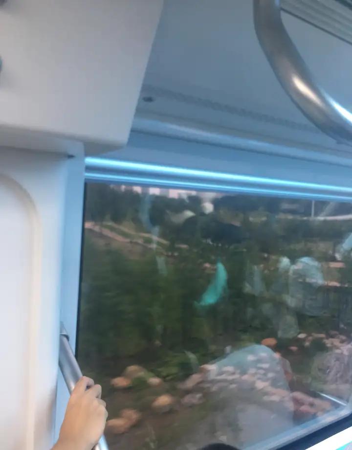 济南的地铁不好建，那么为什么不规划空轨？这种悬挂式的空轨，中国好几个地方都有了