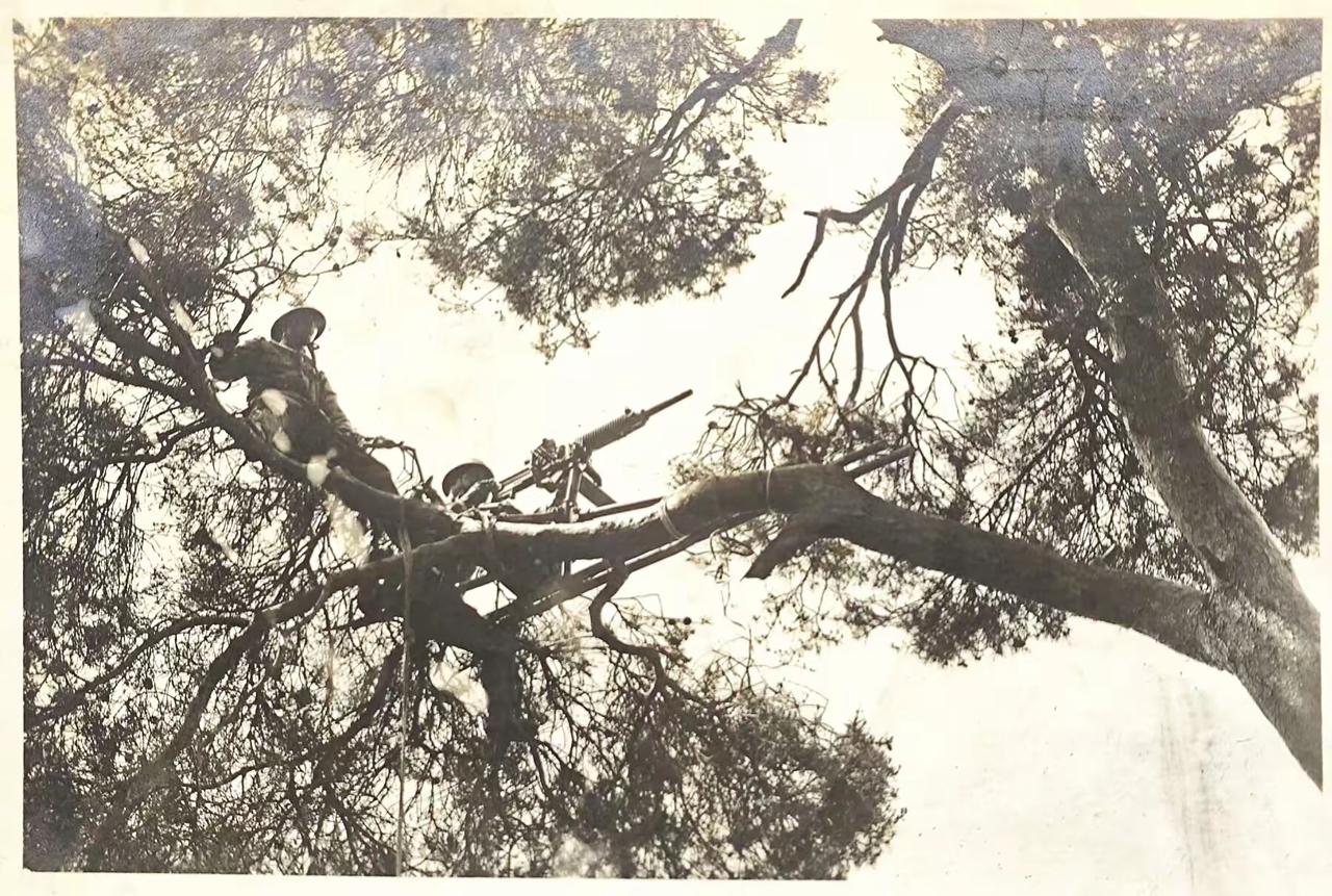 这是一张令人不可思议的照片。为了能够居高临下的射击，两个日军士兵竟然把一挺重达1