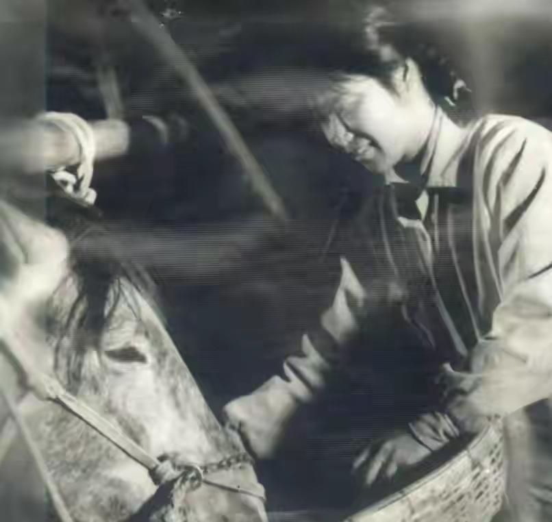 1971年，北京一知青迎娶了地主家女儿。新婚夜，妻子试探着问：“我出身不好，您考