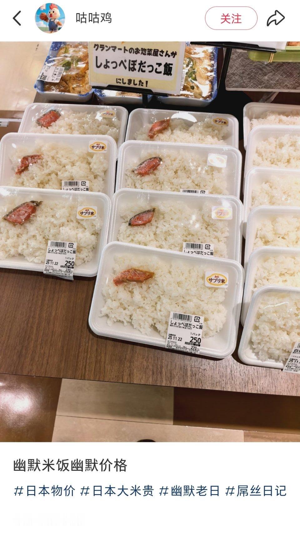 幽默米饭，幽默价格。日本小小的一份什锦（咸鱼）米饭。竟然要250日元（约11.3