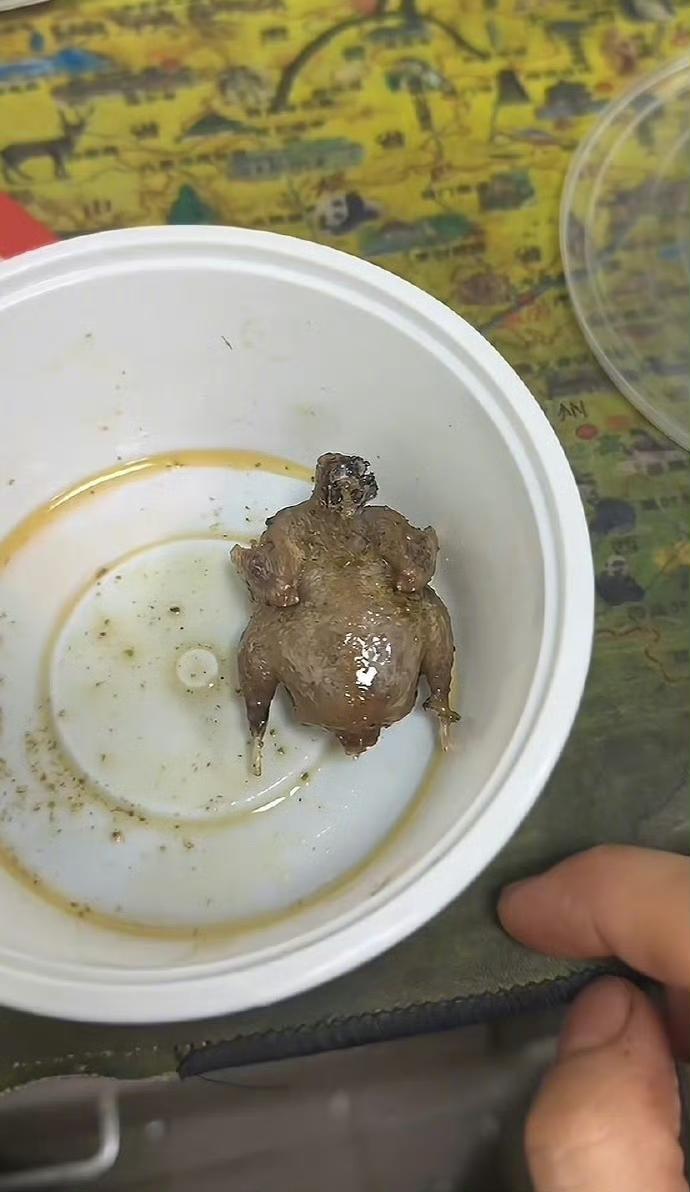 收藏就送的炸鸡，这个大小确定不是玩具么？这个敢送可不敢吃啊，待吃几个才能满足呢？