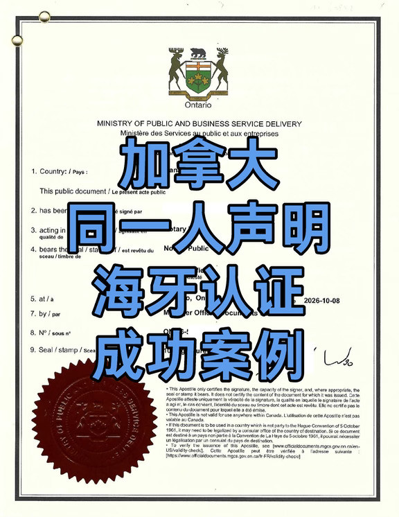甘肃中国护照与加拿大护照是同一人海牙认证