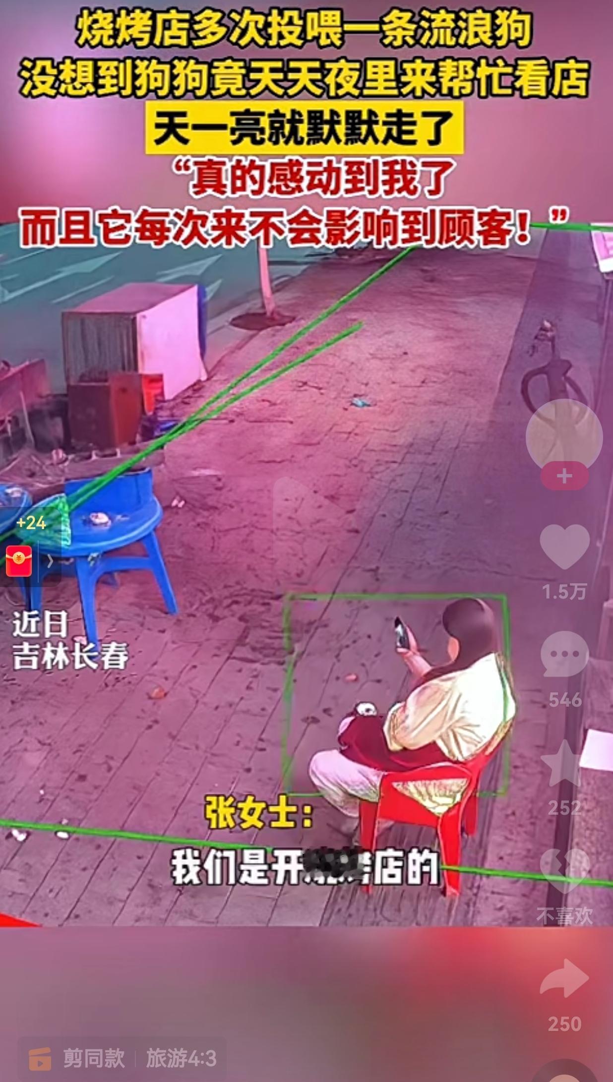 真的是一条“懂得人情世故”的狗狗！吉林长春的张女士开了一家烧烤店，有一天，她看到