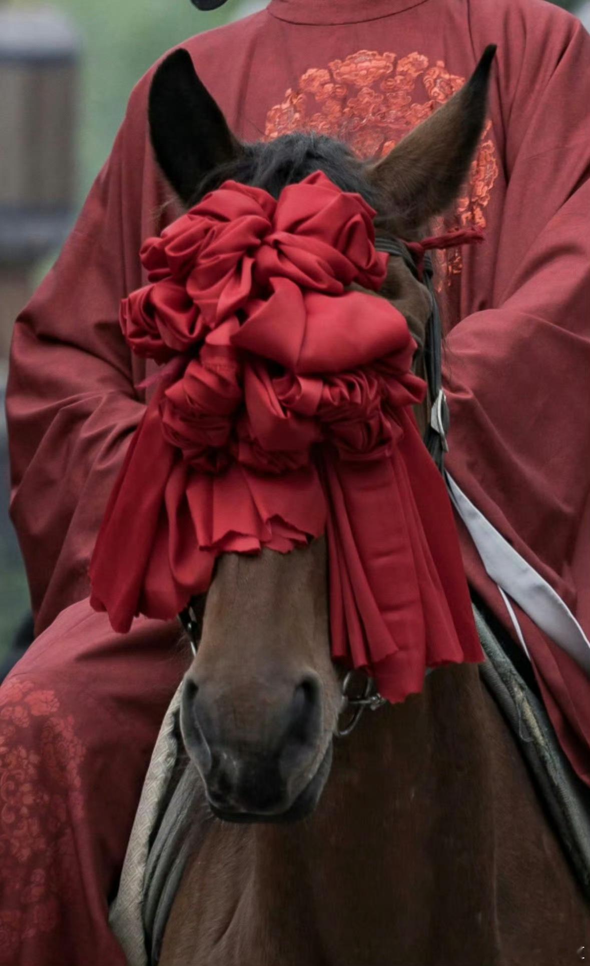 刷到这个图，确实有点子好笑，正面看🐎👀被遮得严严实实，不过我猜是视觉错位，毕