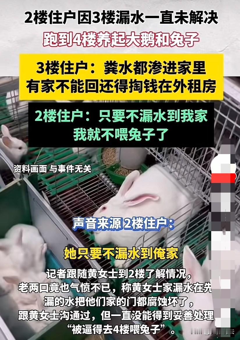 河南许昌，2楼因3楼漏水一直未解决，一怒之下跑到4楼养起大鹅和兔子。因为粪水都渗