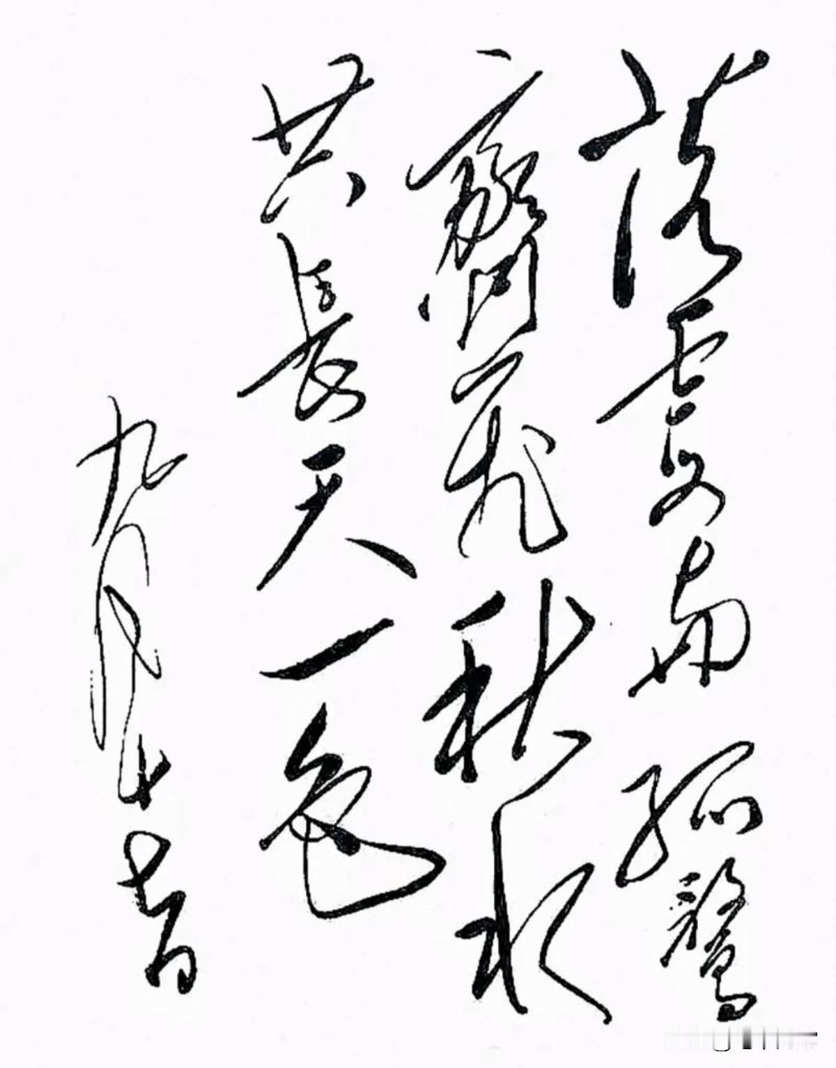 这幅毛体狂草作品，如行云流水，蛇走龙飞，张、怀二人的字也不过如此！谁知道。谁能念