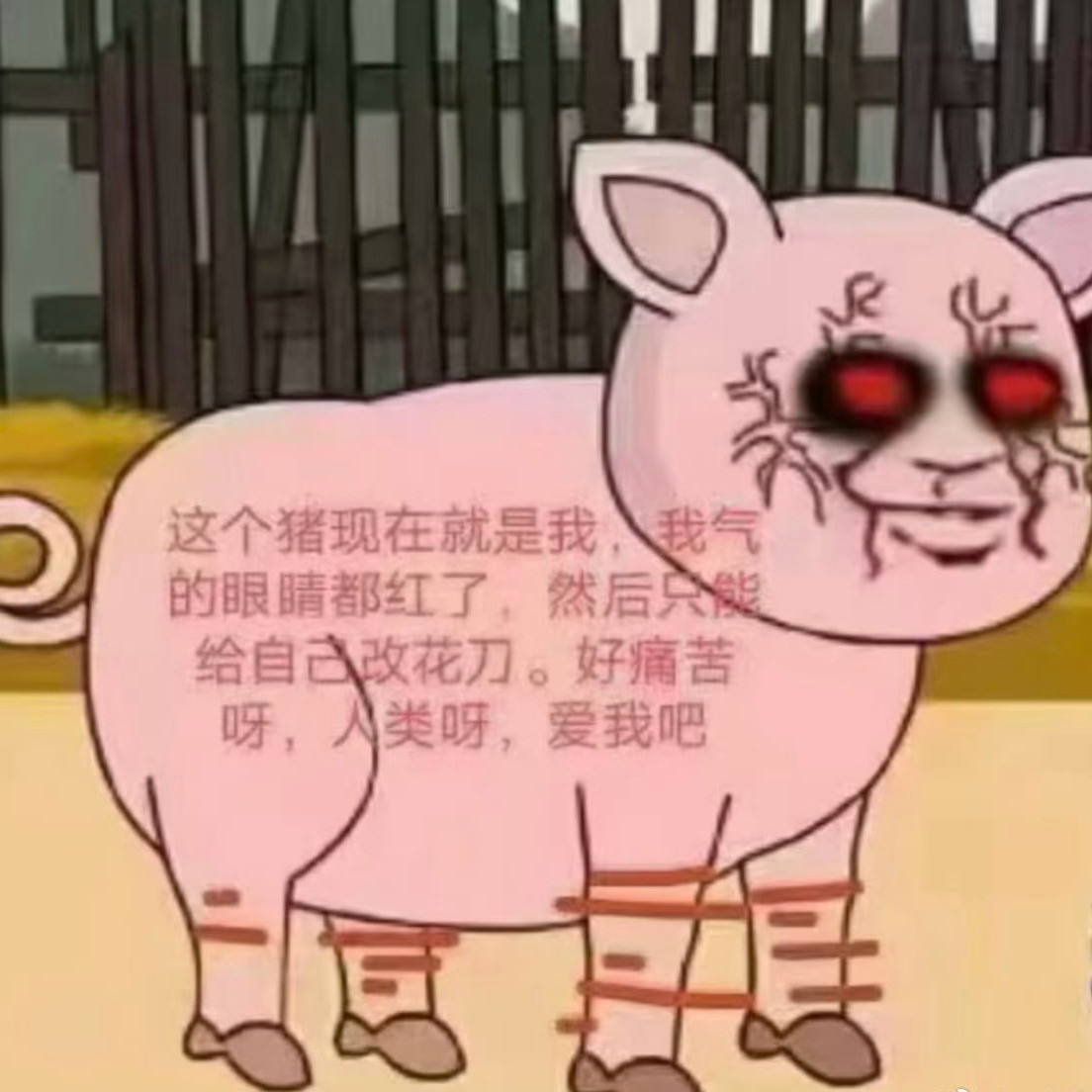 说白了我也只是一只猪