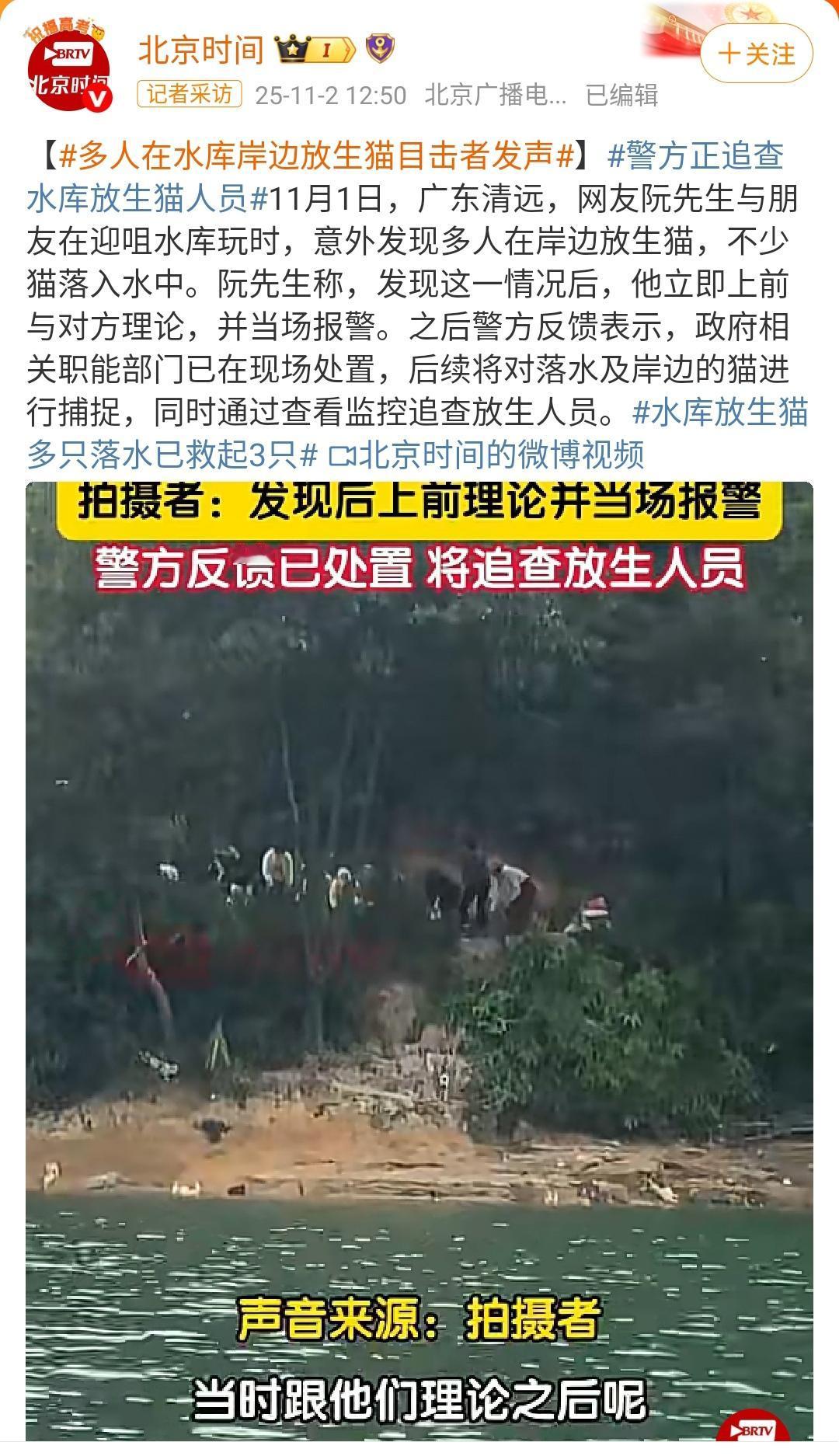 多人在水库岸边放生猫目击者发声！也不知道这些爱心人士是怎么想的，放猫的时候还选