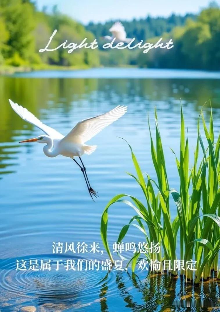 早安，不必追赶光芒，你自己就闪闪发光。