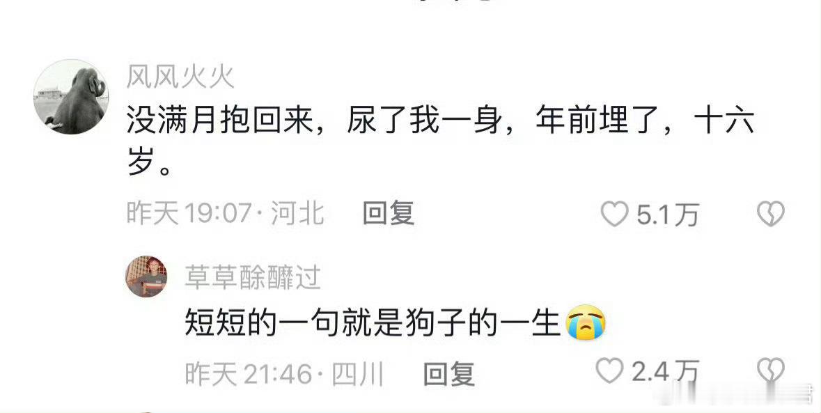 短短的一句就是小狗的一生​​​​