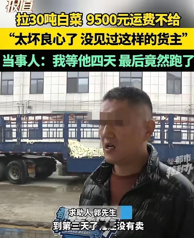 脸都不要了！11月9日，河南，一男子从内蒙订了30吨白菜，并承诺到时给货运司机9