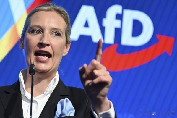 🌍📊⚖️欧洲政坛新动态！德国选择党民调大幅攀升，逼近30%关口近期，多