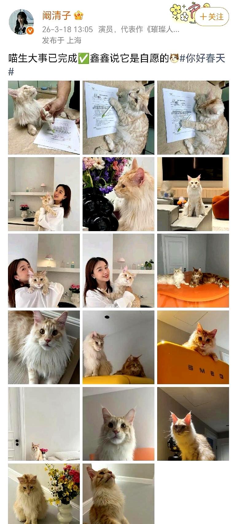 家里猫主子突然被安排了“相亲”，这事儿搁谁身上都挺好奇后续吧？阚清子前两天晒了