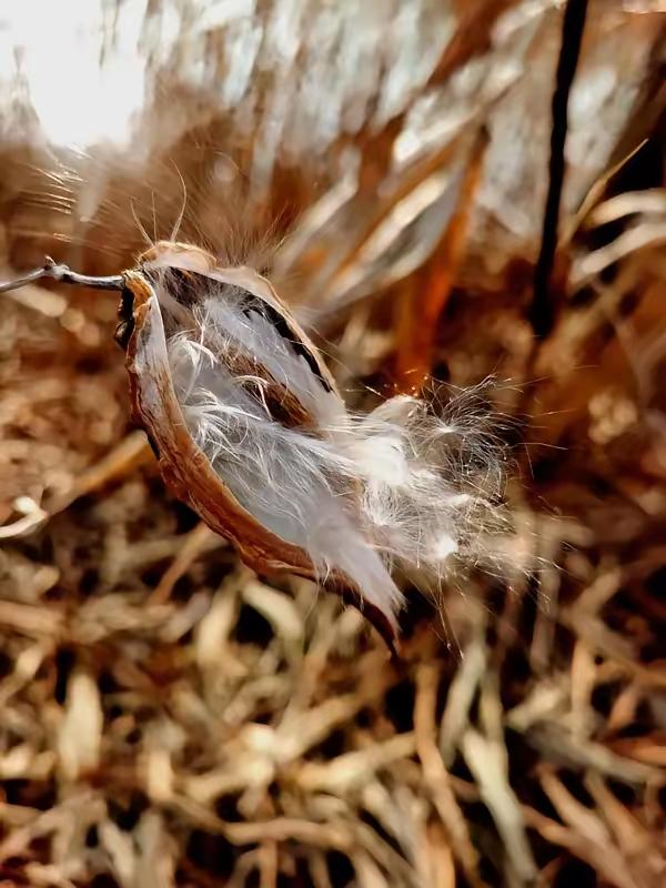 脑筋急转弯：1、天的女儿是谁？答案……丽质2、地的儿子是谁？