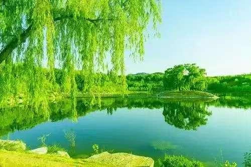 笑看人生百态，闲观云卷云舒。一程雨，一程忧，轻叹世间几多愁，旧忆如潮