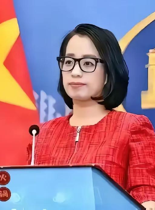 越南这是“脸都不要了”？越南外交部发言人曾强调：“任何未经越南许可的外国在黄沙群