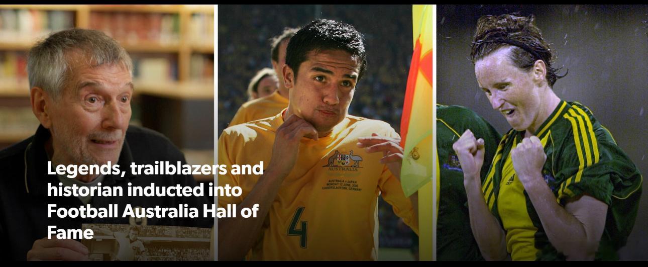 12月2日讯澳大利亚足协官方宣布，蒂姆·卡希尔、莎伦·布莱克、罗伊·海伊三人入