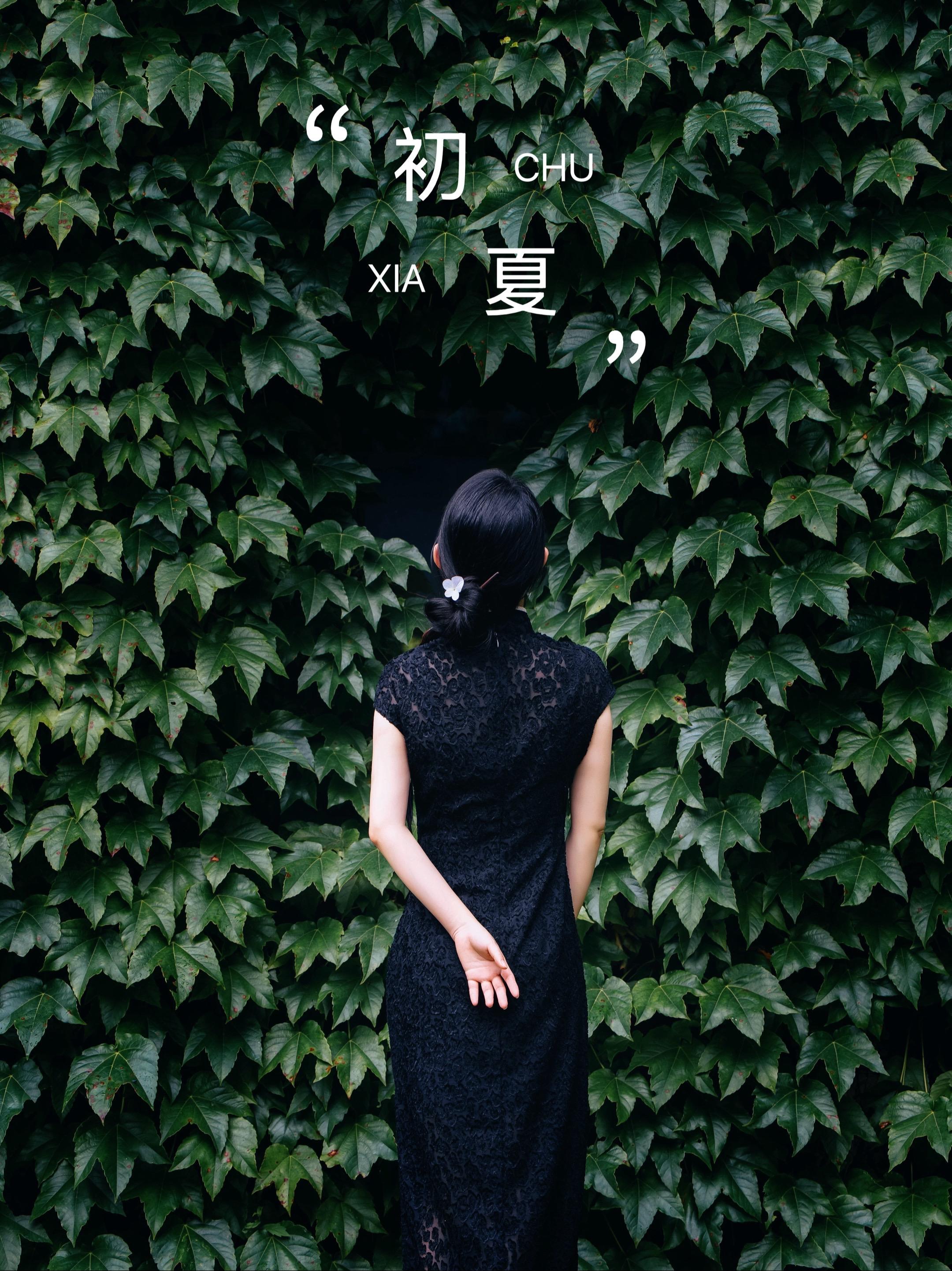 《雨庭慢调》镜头吃掉水珠的瞬间—— 蔷薇在雨里轻颤，像谁来不及寄出的信...