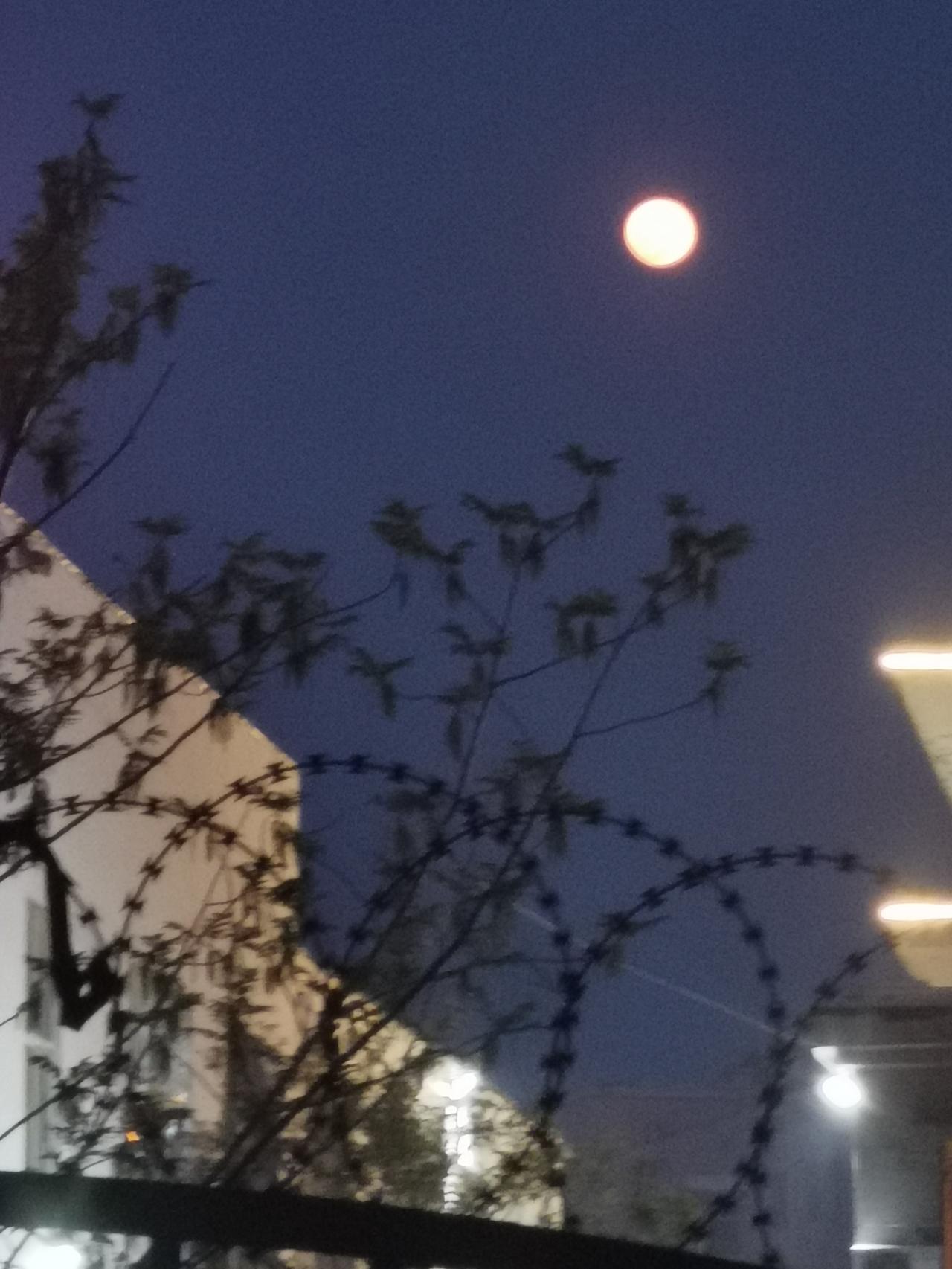 你话多说明你蠢。你话很多说明你很蠢。说话有三个目的：一是让人高兴。二是让