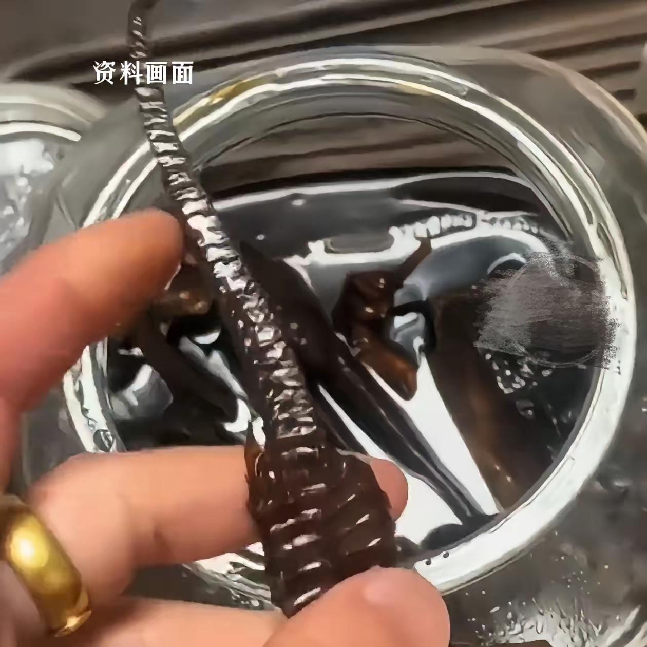 广东梅州一爷爷珍藏了10年的海马酒被孙子打翻，酒洒一地，老人本来要发火，弯腰捡海