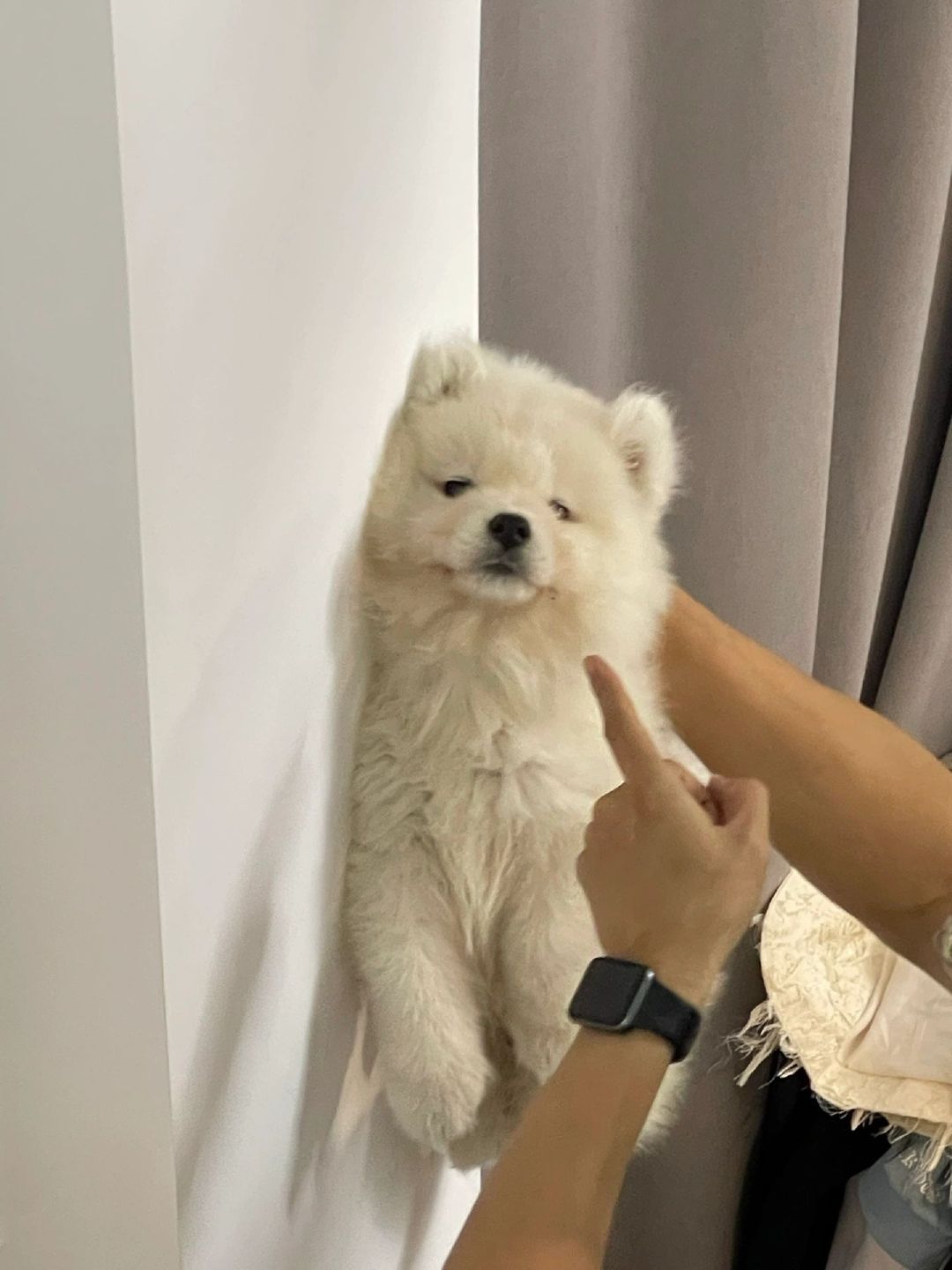 对啊，拖鞋是我咬烂的，你想怎样耶​​​