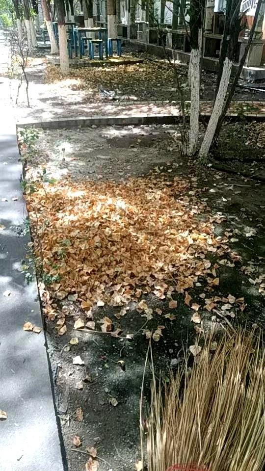 拿着5000多的退休金，63岁还跑出来干又脏又累的保洁，这到底图个啥？今天我们
