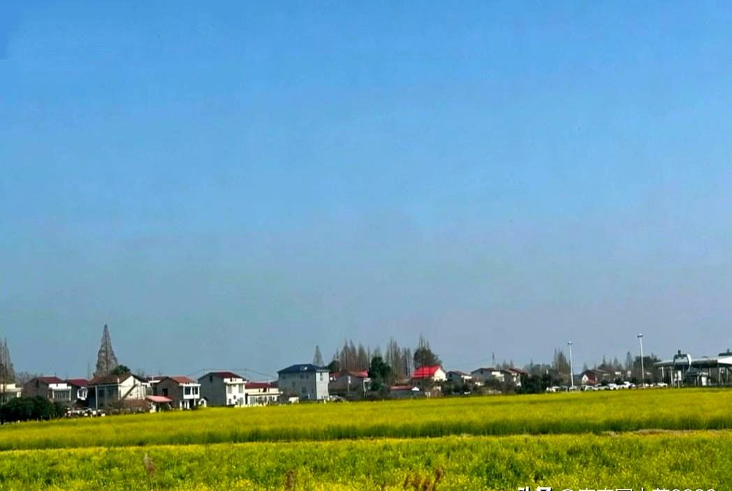 回趟老家，发现个挺有意思的事儿。有些人才五十出头，就已经彻底“闲着”了。地租