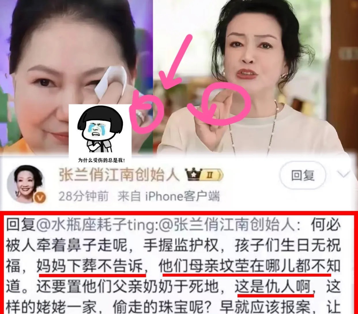 S妈这是彻底慌了吗算来算去终将是竹篮打水不是因为卤蛋没有得到探视