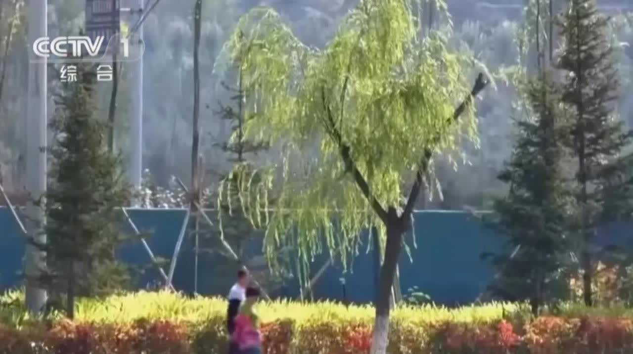 四川绵阳，男子工伤去世。其二哥办理赔时，意外发现，弟媳妇不是真妻子，14岁侄女也