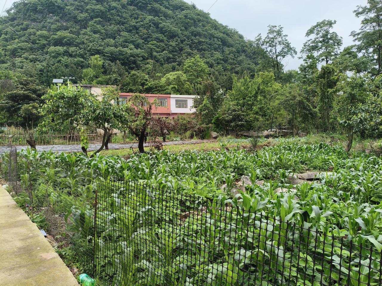 地主的命运：绝大多数的地主不是被杀就是被斗被折磨而死地主的后男的难娶妻
