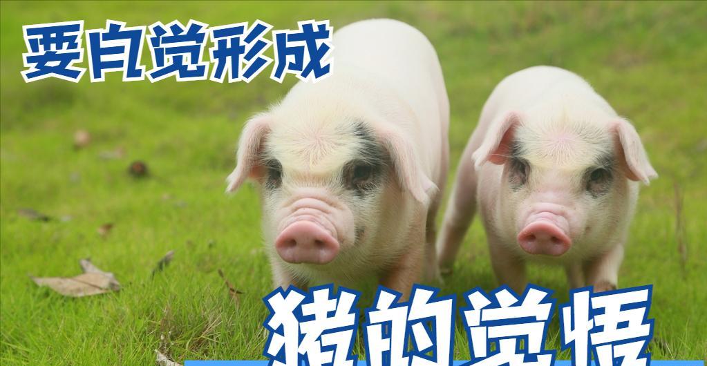 罗医生坠楼事件，官方出来说话了，没人信！消息一出，舆论哗然。我的养猪朋友
