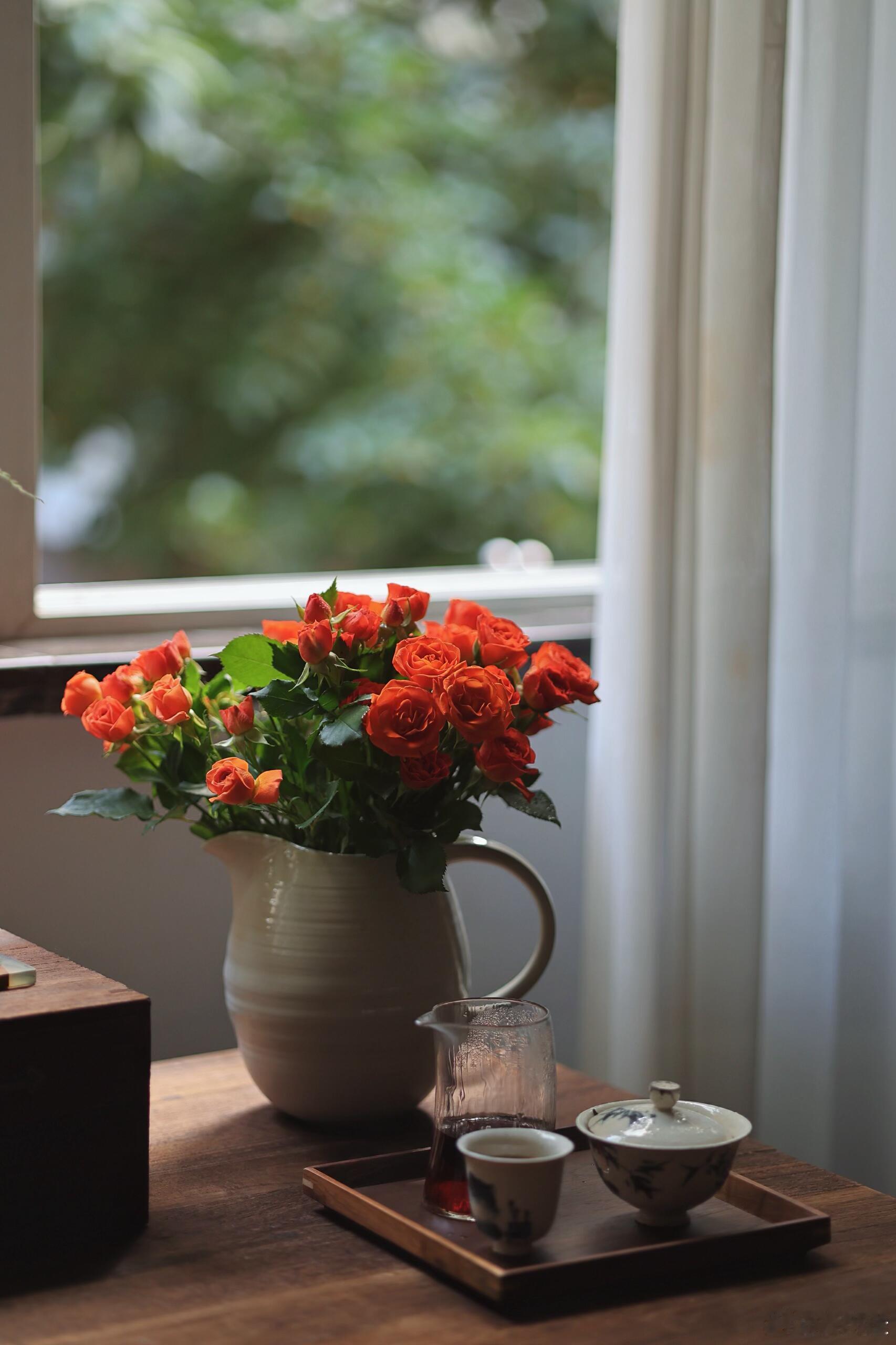 不要害怕失去，你所失去的，本来就不属于你；不要害怕伤害，能伤害你的，都是你的劫数