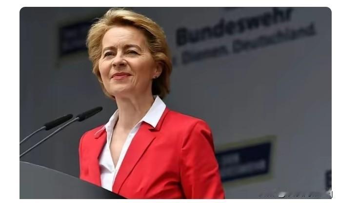 只有一个选择？据网络上有消息说，欧盟委员会女主席，大家可能熟知的德国人冯德莱恩