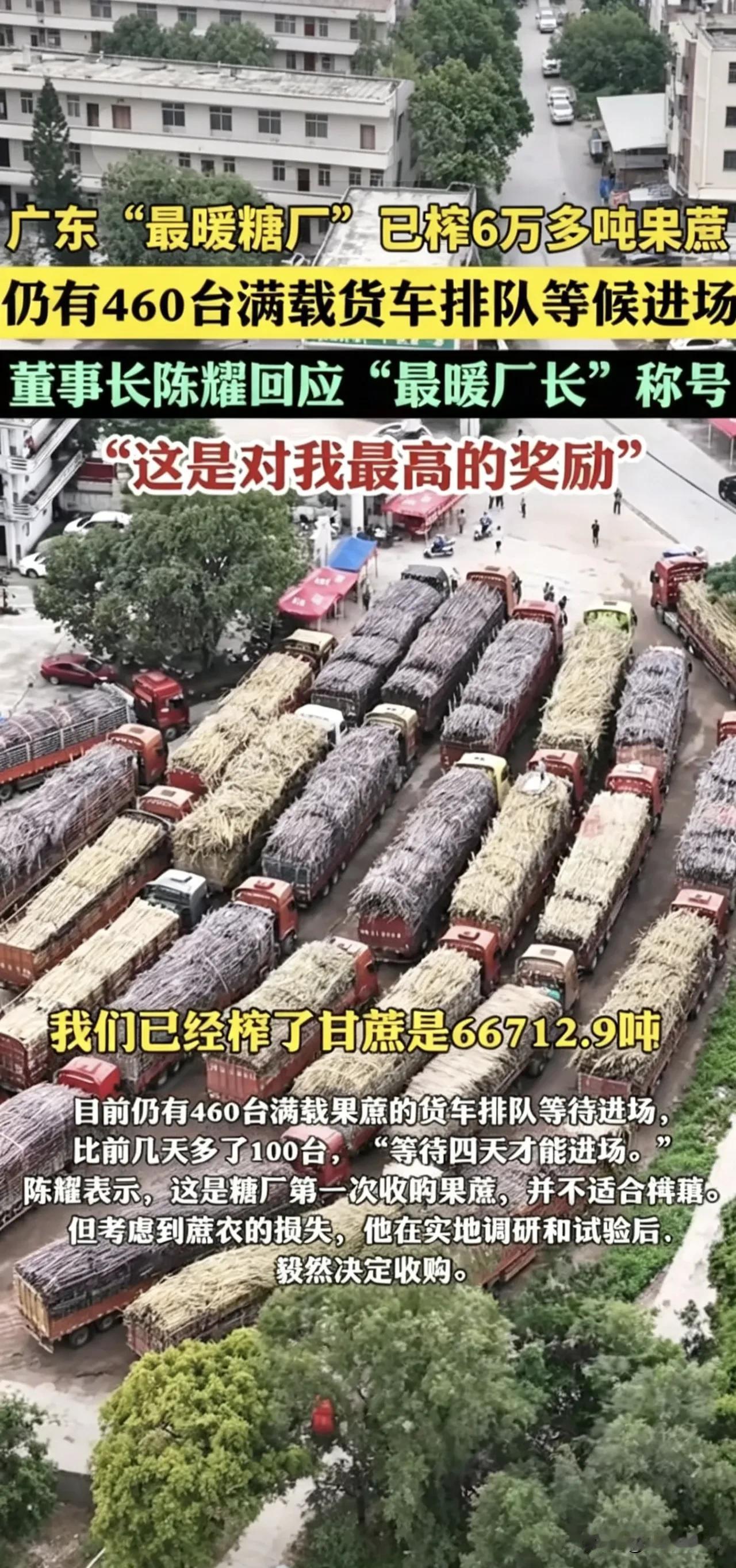460台货车排长龙！化州“最暖糖厂”兜底收购，让滞销果蔗甜进民心。春日本