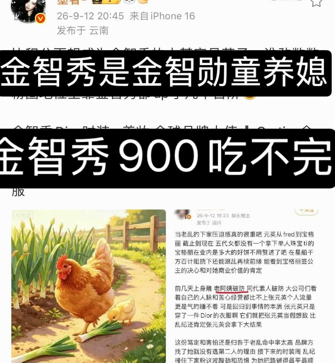 伦粉也觉得金智秀是老阿姨吧……​​​