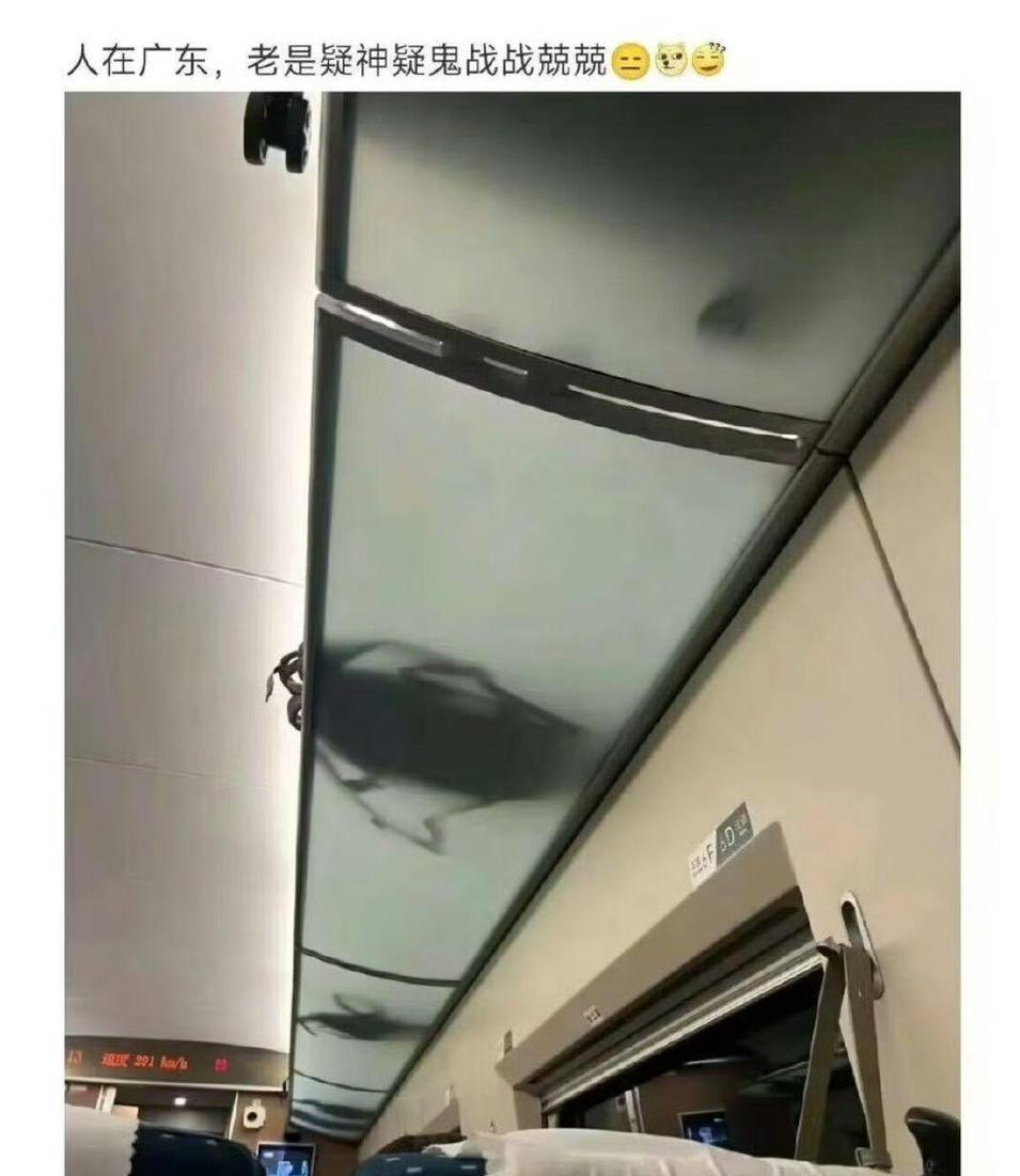 好家伙，广东人确实瑟瑟发抖[笑着哭]