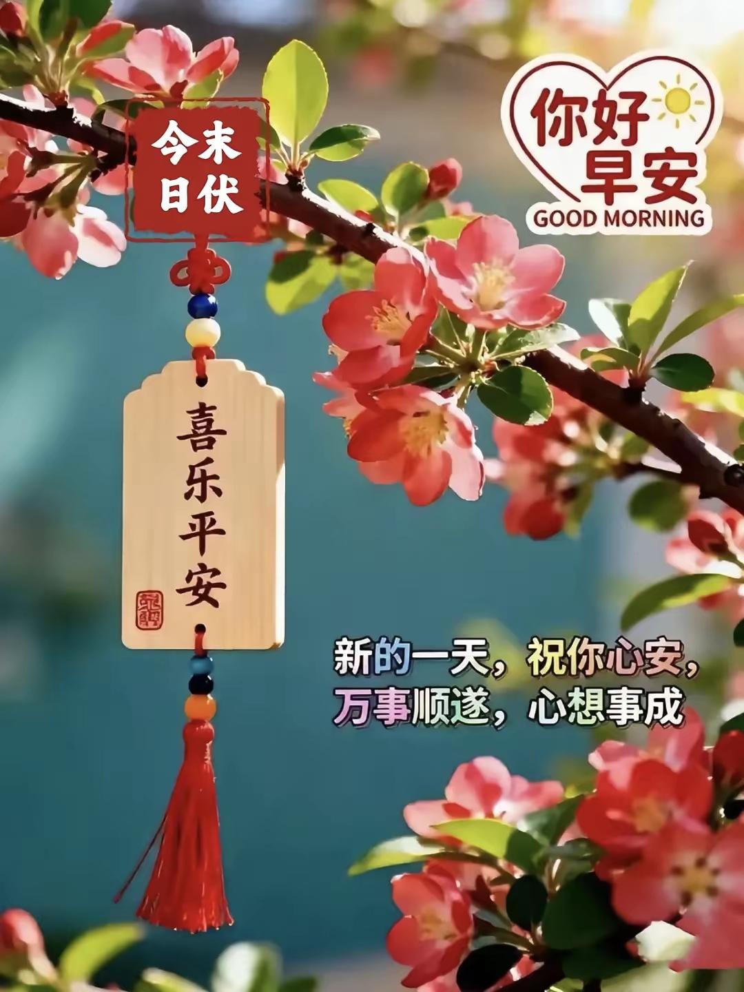 老话常说冷在三九，热在三伏，转眼就来到末伏，虽说已经立秋，但暑气并没有立刻消散，