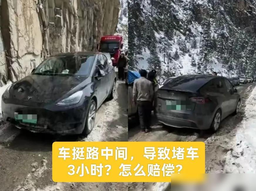 特斯拉车主雪地弃车买防滑链，直接把318国道干瘫痪三小时？网友脑洞比青藏线还野！