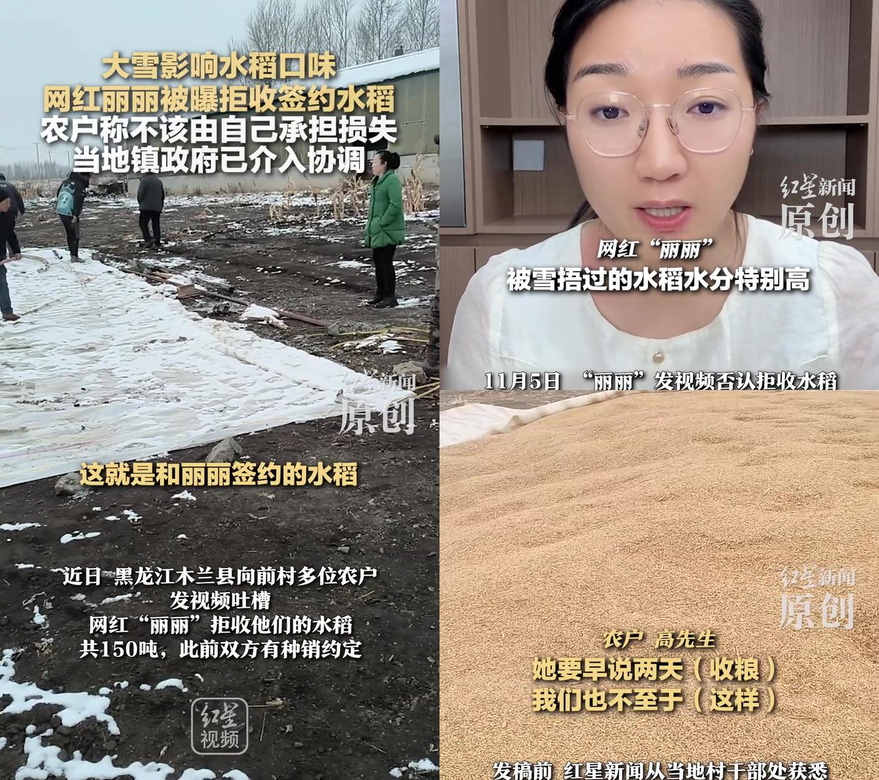 谁能想到，一场雪，把农民的一年都捂没了？黑龙江向前村的农户，等网红丽丽收