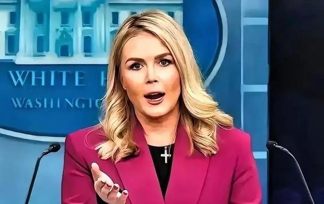 中日闹那么多天，躲在日本背后的第二条大鱼被我们钓了出来。这条大鱼不是别的，正是一