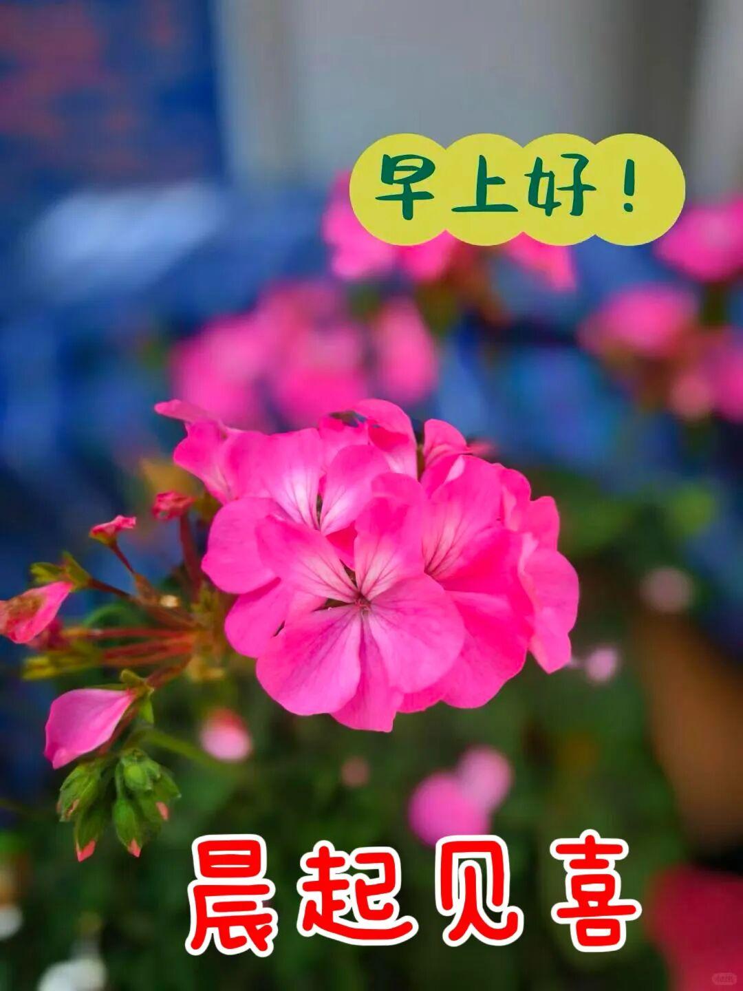 清晨送上一份浓浓的祝福，捎去我最长久的牵挂。愿您今天：龙马精神、神采奕奕、福星高
