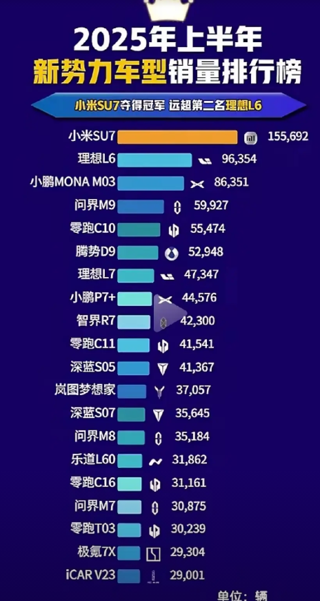 没有特斯拉，没有比亚迪，也没有吉利，奇瑞，只统计了新势力。新势力车企上半年销量