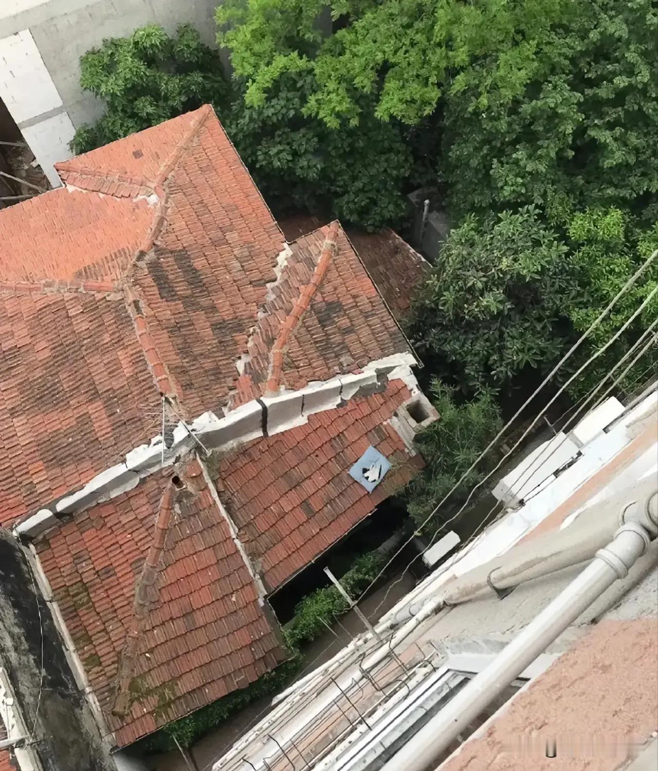 到了一定的年龄，特别很容易被感动。感动的故事随意可见，网友在阳台上掉了一个枕头，