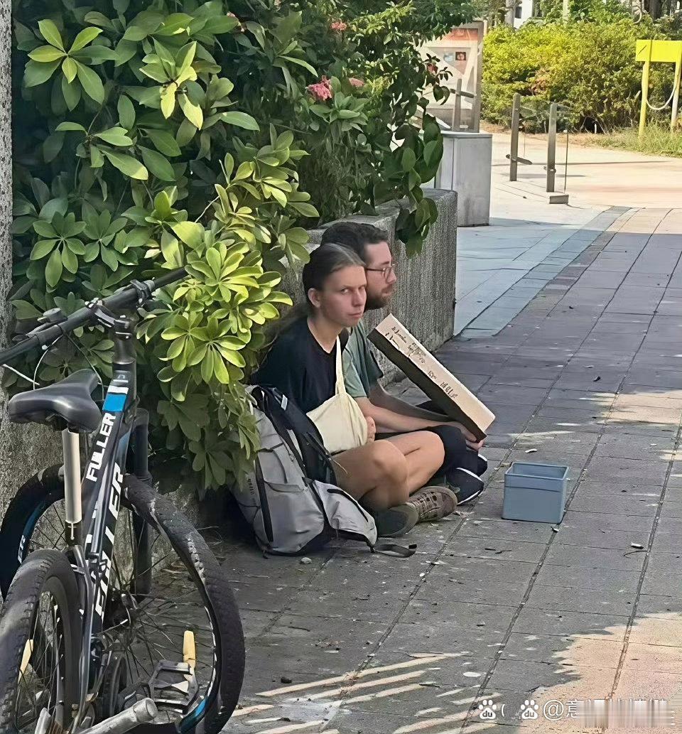我怀疑他们是骗不到中国人的​​​