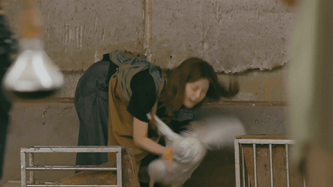 从鹅厂出道的超越果然实力不凡！抓鹅时展现出的从容与专业让人眼前一亮，动作精准优雅